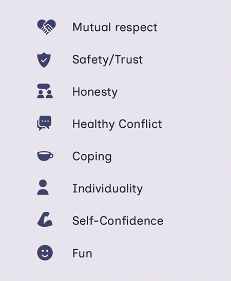 mutual respect, safety and trust, honesty, healthy conflict, coping, individuality, self-confidence, fun